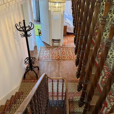 Lingaillat Сорт-Осгор