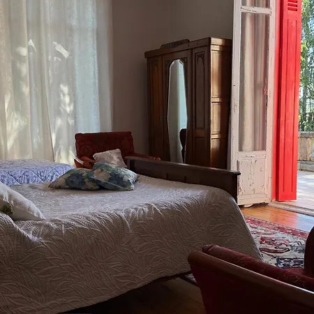 Lingaillat Сорт-Осгор